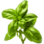 gdzie jesteśmy royal cook ul. zeylanda 62 60 808 poznań tel 730 893 411 e mail kontakt@royalcook.pl (500 x 500 px)